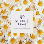 Daisy Round Pendant Necklace