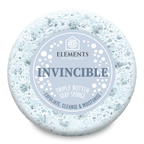 Invincible Soap Sponge