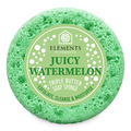 Juicy Watermelon Soap Sponge