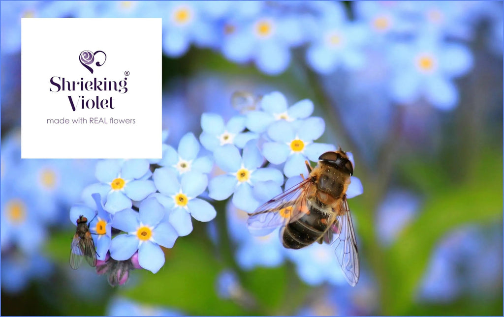 Forget-Me-Not Round Charms Bracelet